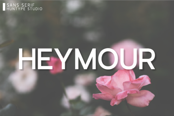 Heymour: A Minimalist Sans Serif Font for Modern Design